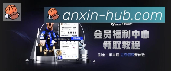 未来规划